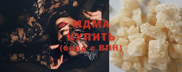 индика Богородицк