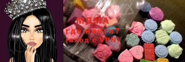 индика Богородицк