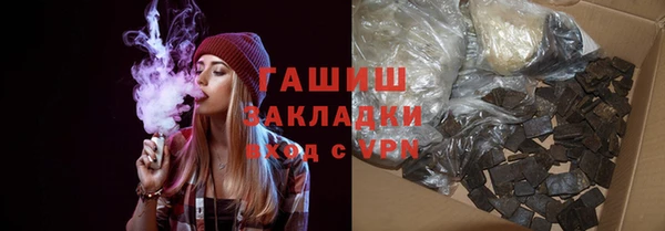 индика Богородицк