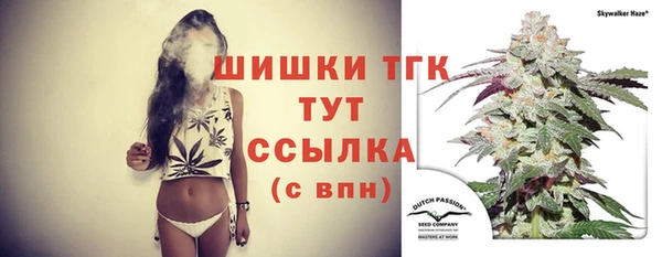 тгк Богданович
