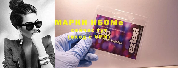 индика Богородицк