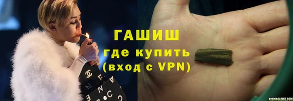индика Богородицк