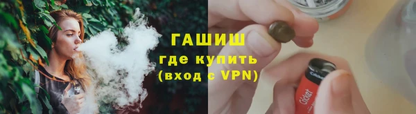 индика Богородицк