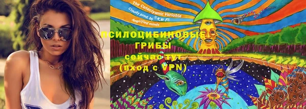 круглые Богородск
