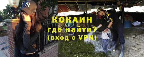 индика Богородицк