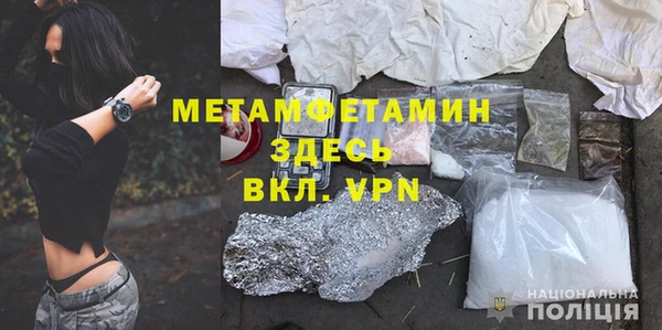 индика Богородицк