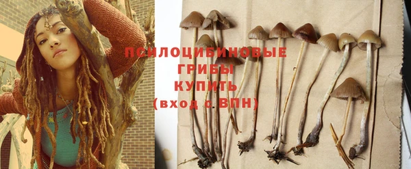 тгк Богданович