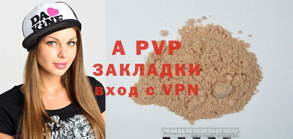 индика Богородицк