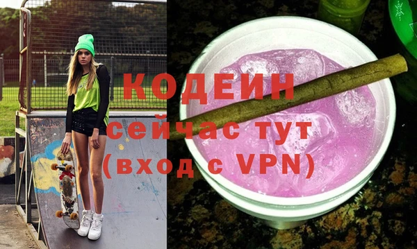 индика Богородицк